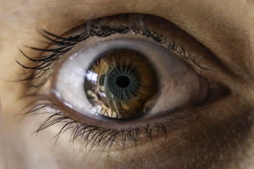 A macro shot of a brown eye with a blue color in a middle