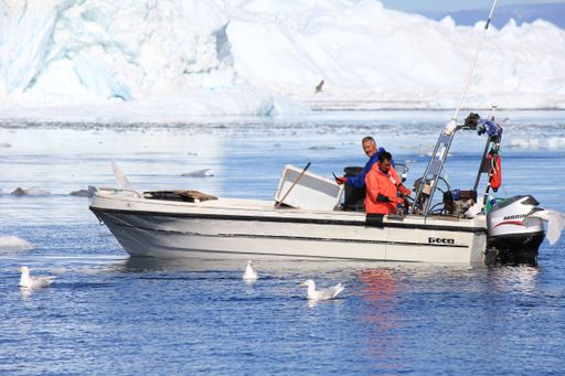 22 July 2011, Ilulissat, Greenland, Two Inuit fishing from their motor boat between icebergs and seagulls (Laridae) (horizontal)