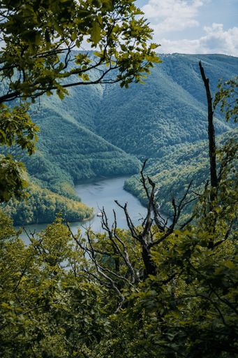 A vertical shot of the Tarnita Lake and the surrounding forests seen from above, Cluj-Napoca, Romania