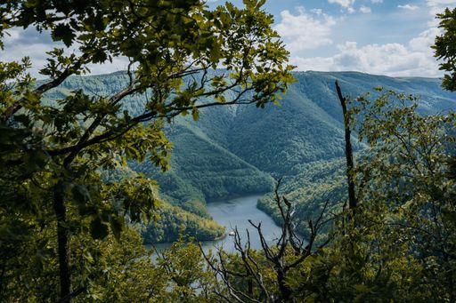 The Tarnita Lake and the surrounding forests seen from above, Cluj-Napoca, Romania