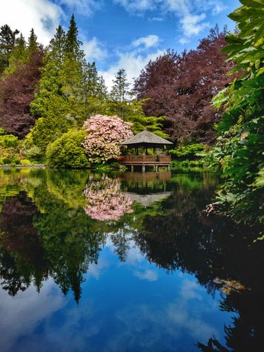 A vertical shot of a colorful garden with a japanese style garden house on a lake and blooming trees and flowers in the back
