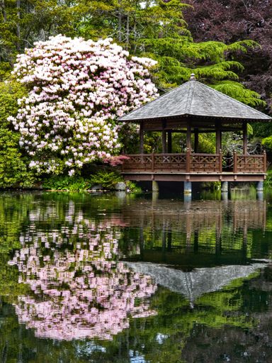 A vertical shot of a beautiful garden with a japanese style garden house on a lake and pink blooming flowers in the back