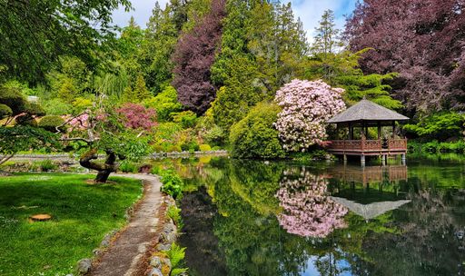 A panoramic shot of a colorful garden with a japanese style garden house on a lake and blooming trees and flowers in the back