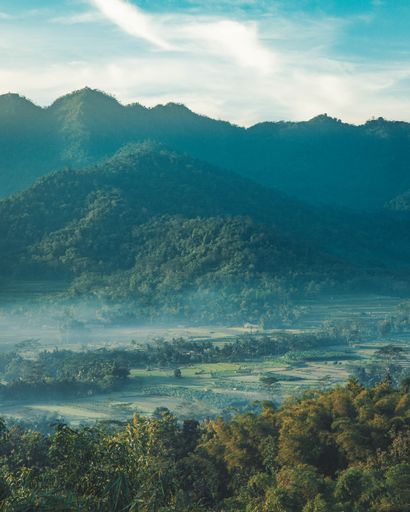 A vertical shot of a beautiful mountain valley with green trees and covered in mild fog.