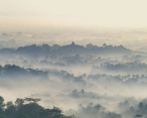 A landscape shot of a creepy mountainous forest covered in thick fog.