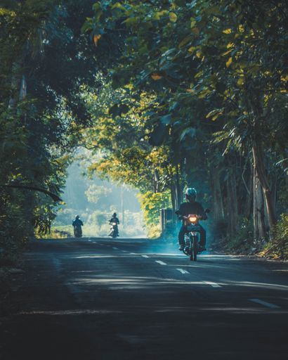 A vertical shot of three bikers riding motorcycles on a road surrounded by green trees. Perfect for a piece on motorcycles.