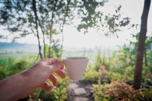 A selective focused shot of a person's hand holding a white coffee cup in a garden.