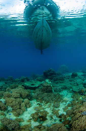 A vertical shot of a boat over a coral reef - perfect for wallpaper