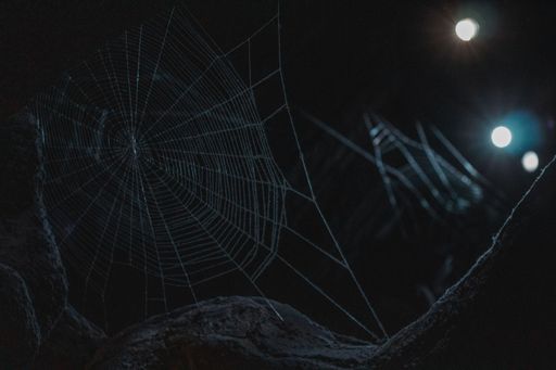 An eerie view of a spooky spider web in the dark on a bokeh background