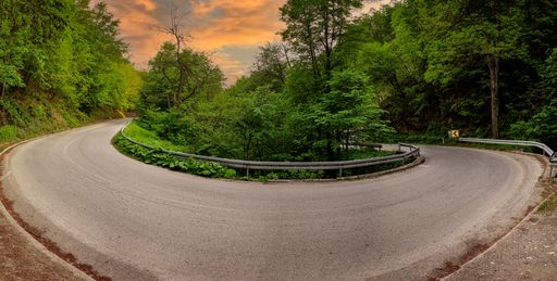 An empty round in the countryside with big green trees on either side at sunset
