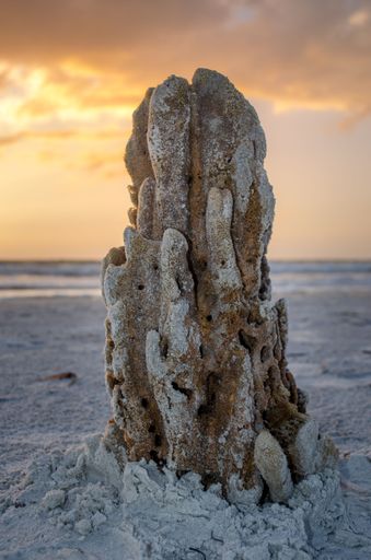 A vertical shot of rock formation on the beach in Clearwater, Florida against sunset sky