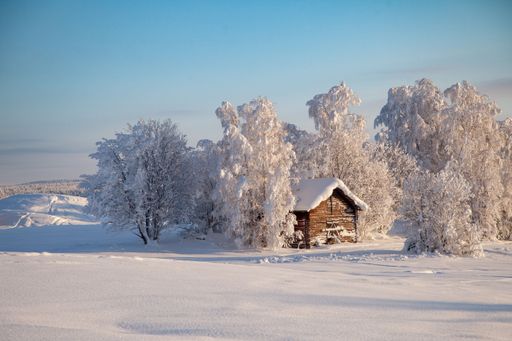 A beautiful view of a wooden house surrounded by trees covered in snow in Sweden