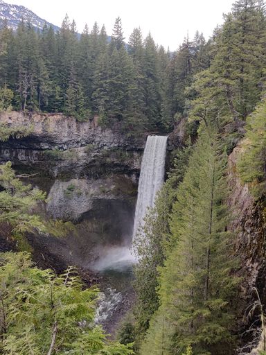 A vertical shot of a huge waterfall in a forest surrounded by tall trees and rocky cliffs