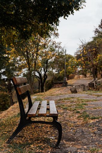 The vertical view of a bench in the park on an autumn day