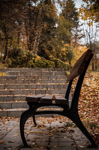 The vertical view of a bench by the stairs in a park on an Autumn day