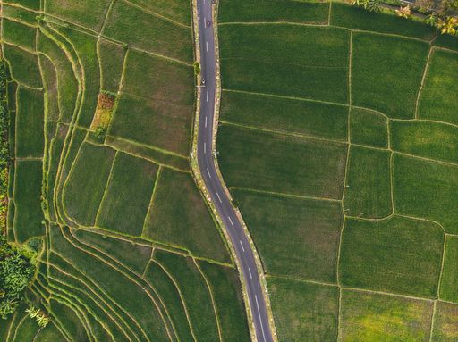 An aerial view of road surrounded by rice fields in Bali, Indonesia