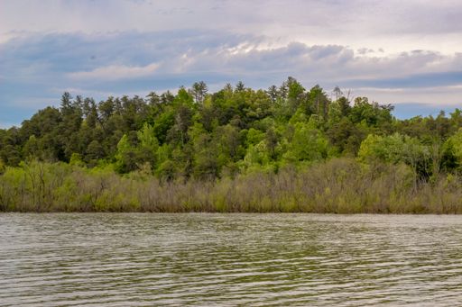 A beautiful shot of a lake with trees and herbs in a green field by, under a cloudy sky
