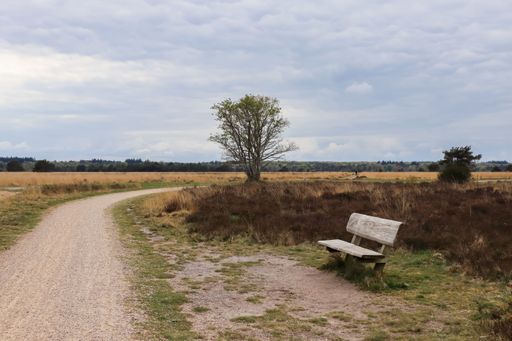 Bench in open nature on a cloudy day in the Veluwe, The Netherlands