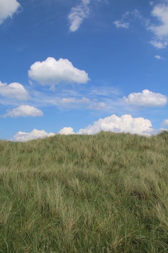 A vertical shot of a grassy hill with a blue cloudy sky in the background
