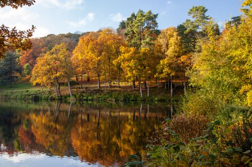 A scenic view of a forest with colorful trees and a lake reflecting the autumn landscape