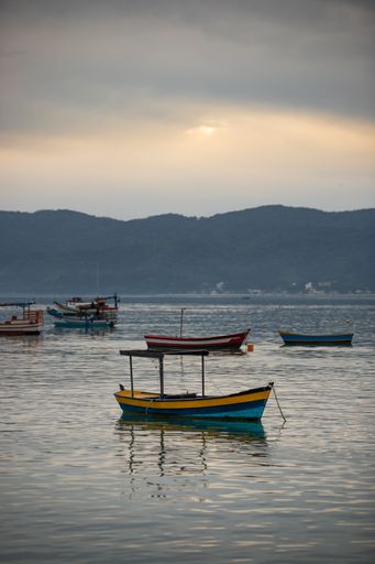 A vertical shot of empty boats anchored in the sea near the shore