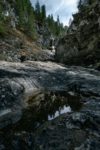 A vertical shot of a puddle reflecting a waterfall flowing down the rocks covered with green trees