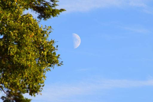 A beautiful shot of half moon in the blue cloudy sky during the daytime