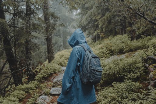 A shallow focus shot of a traveler with blue raincoat walking in a wet forest