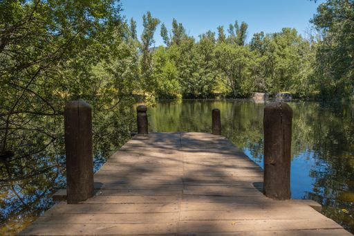 A small wooden dock at a lake surrounded by trees on a sunny day