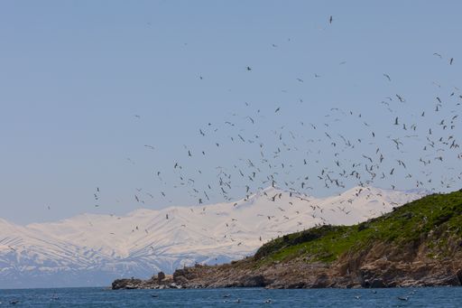 Carpanak sland and old church  / VAN - Turkey