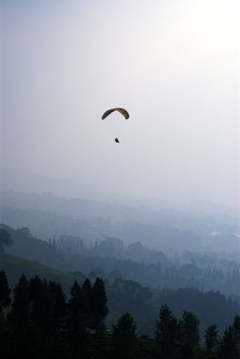 A vertical shot of paragliding in the sky