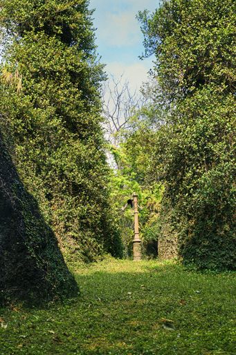 A vertical shot of a walking trail through a green park with ivy hedges