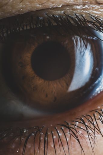 A vertical closeup shot of a person's brown eye