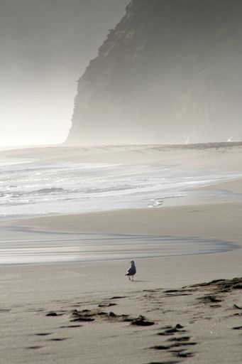 A vertical shot of a lone seagull perched on a sandy seashore