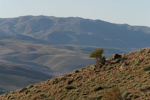 A beautiful view of hills range in Reno Nevada under a blue sky on the horizon