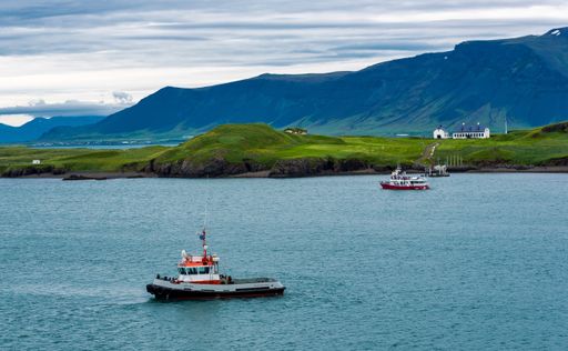 A horizontal shot of boats in the lake surrounded by beautiful green mountains in Iceland