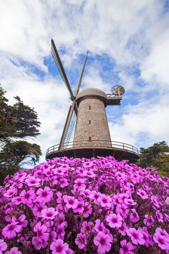 A vertical shot of a windmill in Golden Gate Park in San Francisco