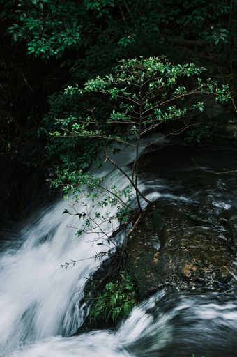 A vertical shot flowing waterfall falling from rocks surrounded by trees