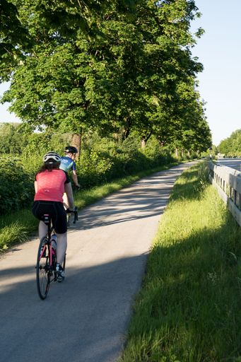 A vertical shot of people cycling on a pathway near the trees