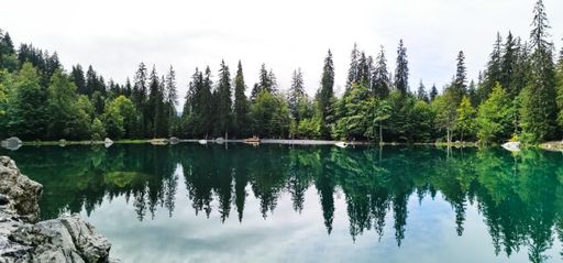 A body of water reflecting surrounding fir trees under the bright sunlight