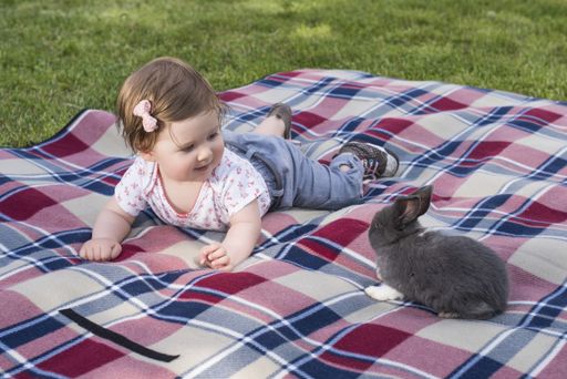 A beautiful baby playing with bunny on blanket