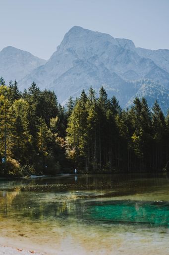 A vertical shot of a frozen lake shining under the warm sun surrounded by trees and mountains
