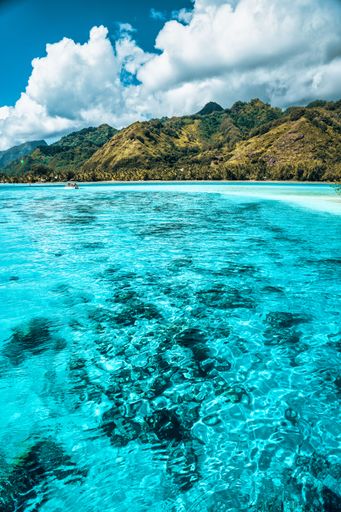 Beautiful vertical shot of tropical island of Moorea in Pacific Ocean on pleasure boat and green mountains in background