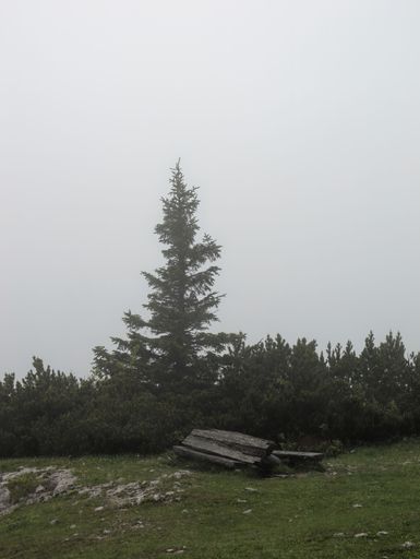 A vertical shot of a old, broken wooden bench with pine trees in the background on a misty day in Velika Planina, Slovenia