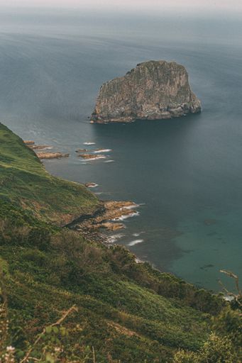 A vertical high angle shot of a huge rock in the middle of the ocean by the tree-covered cliffs