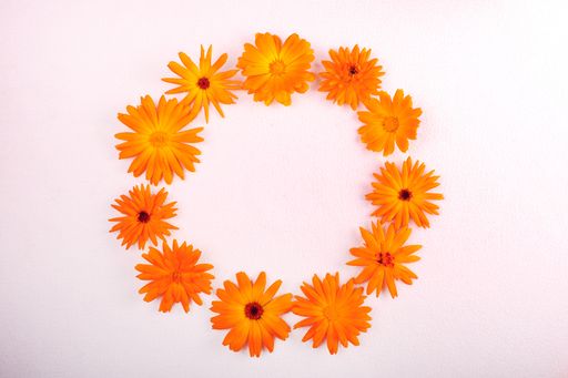 A high angle shot of orange daisy flowers shaped like a circle on white surface