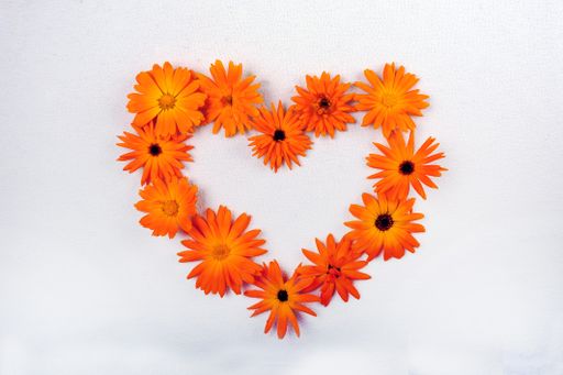 A high angle shot of beautiful orange daisy flowers shaped liked a heart on a white surface