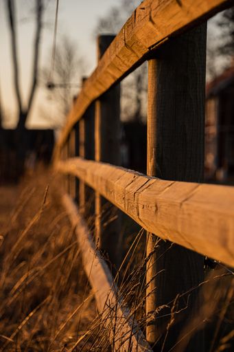 A vertical shot of wooden fences surrounded by dried grass in blurred background