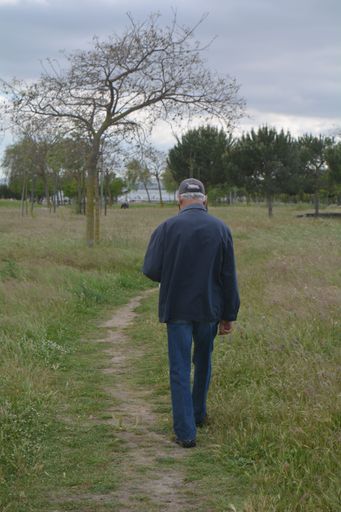 A vertical shot from the back of an old man walking in a garden, green landscape and trees