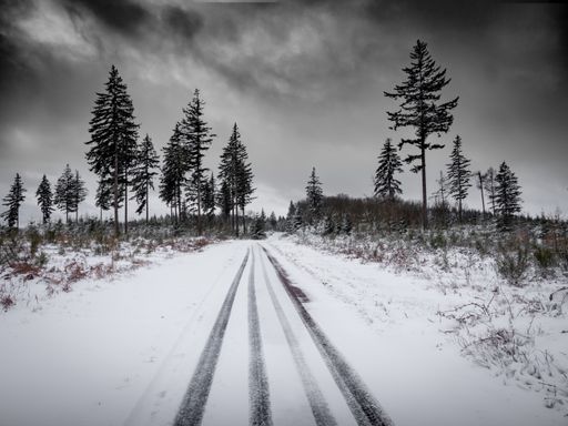 A pathway in the middle of snowy fields with trees under a cloudy sky in black and white